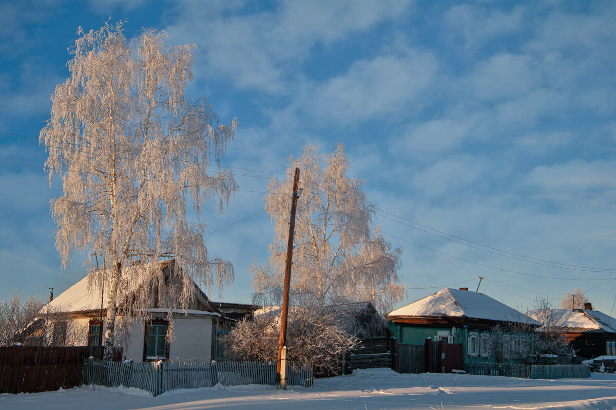 ** - Алексей Мезенцев