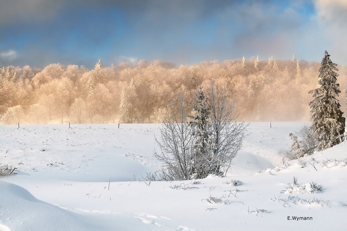 winter! - Elena Wymann