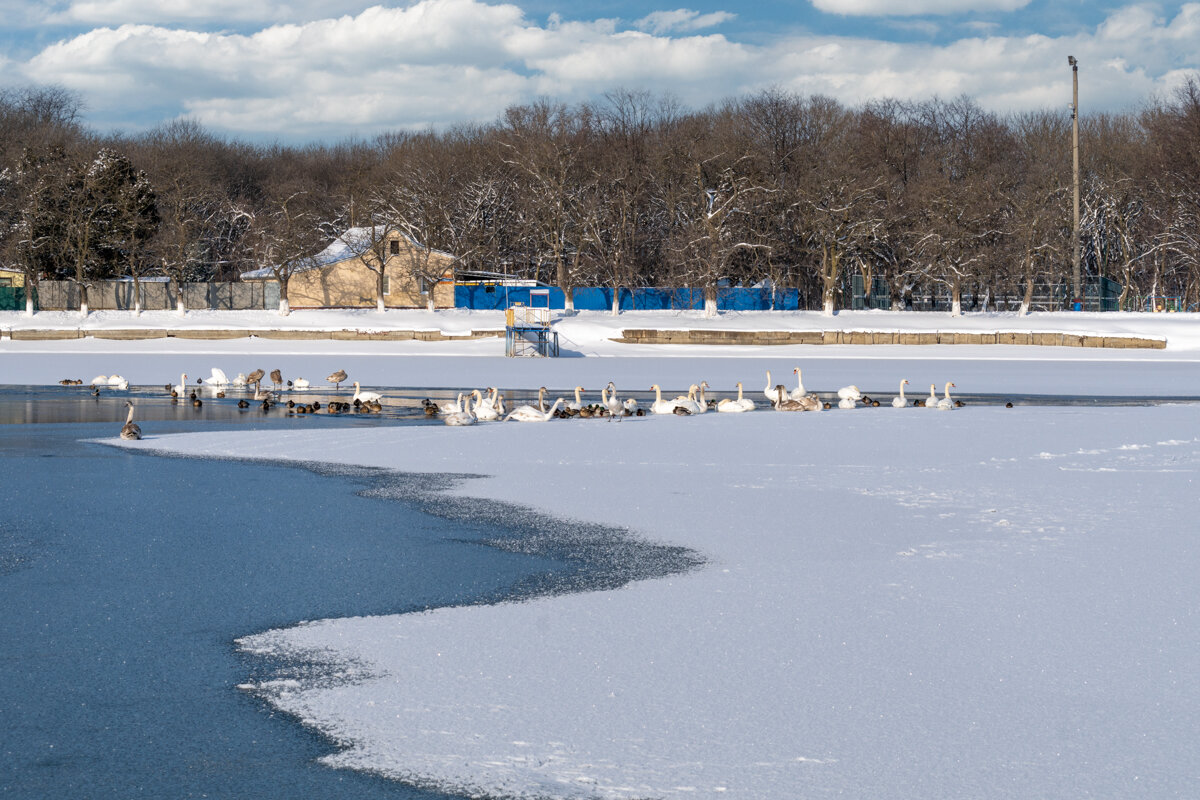 Городское водохранилище - Игорь Сикорский