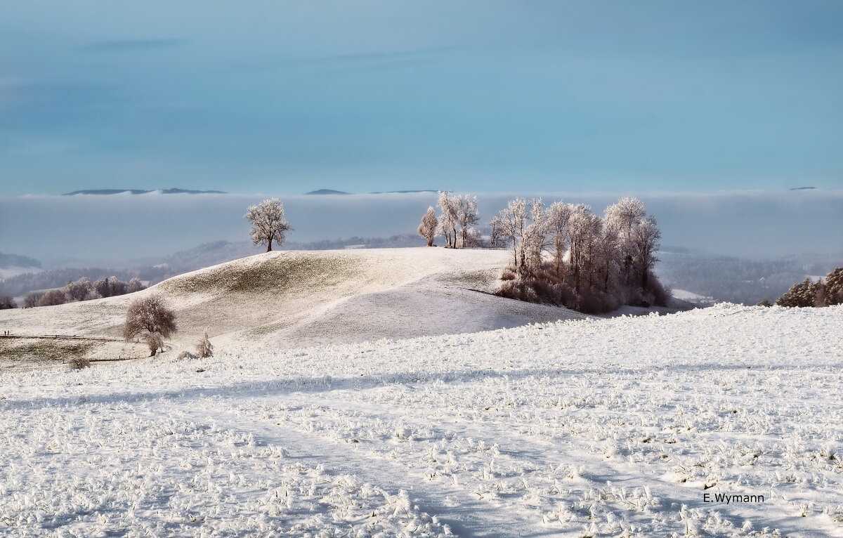 winter view - Elena Wymann