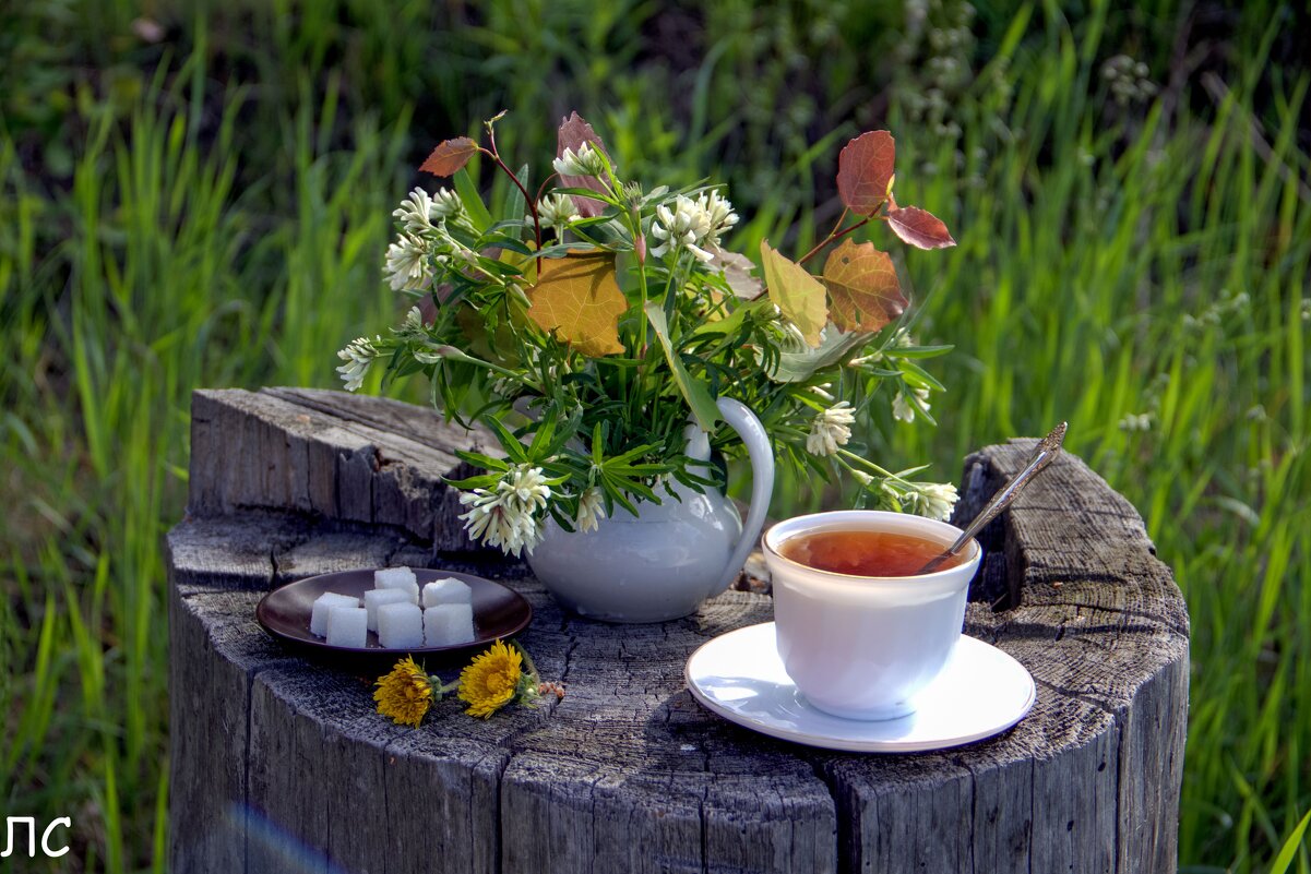 Чаепитие на природе - Любовь 
