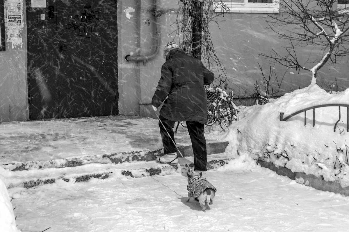 Началось ... скорей домой. - Анатолий. Chesnavik.