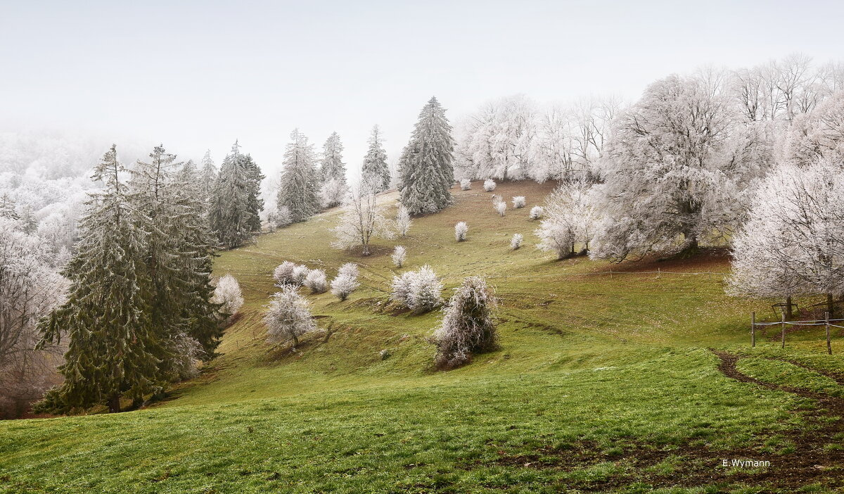 Berge Jura - Elena Wymann