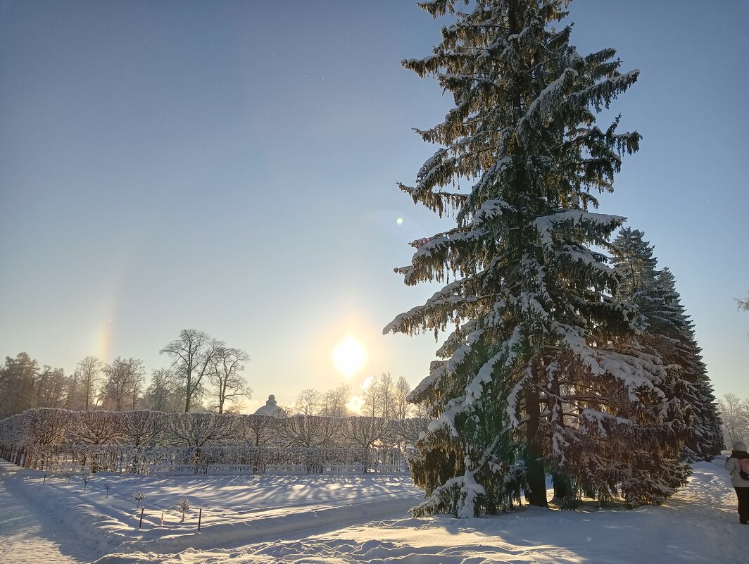 Зимний пейзаж - ольга хакимова