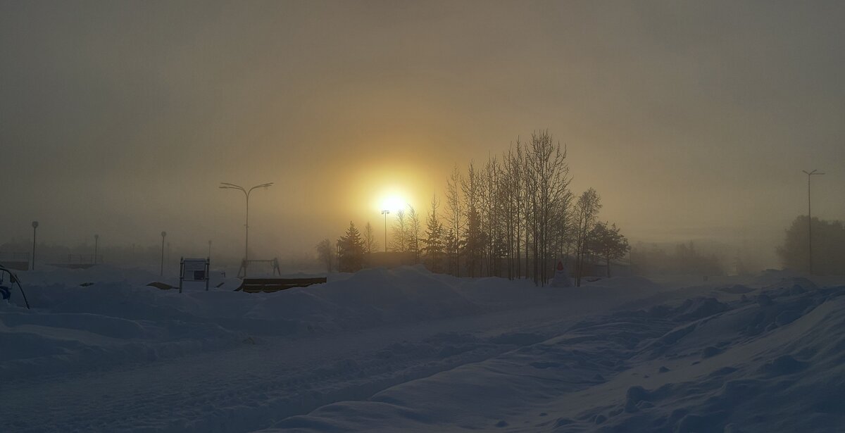 В зимнем тумане - Ольга 