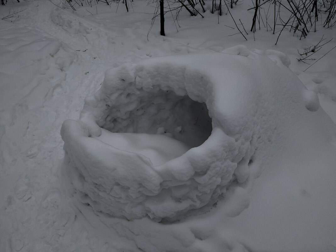 Пасть то ли акулы, то ли кита :-) - Андрей Лукьянов