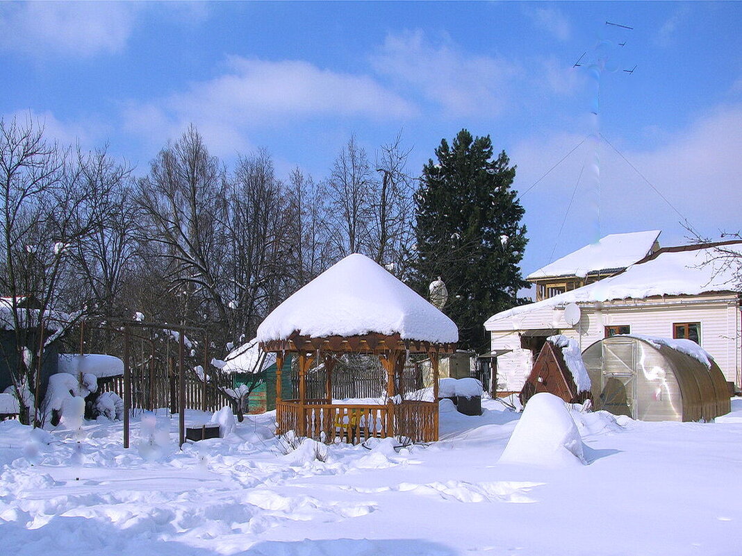 Мой сад зимой - Людмила Смородинская