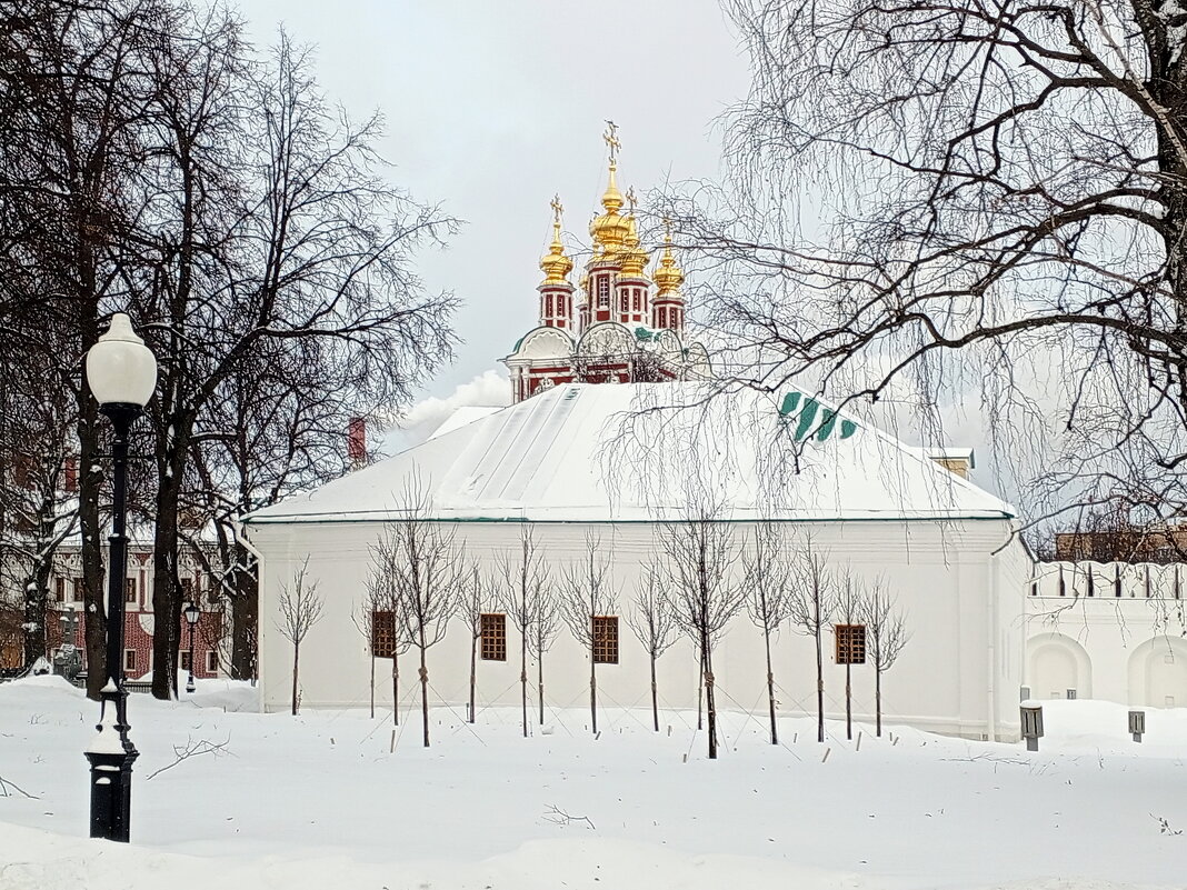 Зима в Новодевичьем монастыре - Алла Захарова