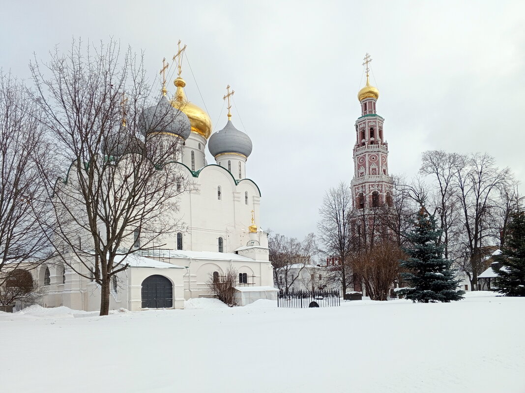 Зима в Новодевичьем монастыре - Алла Захарова