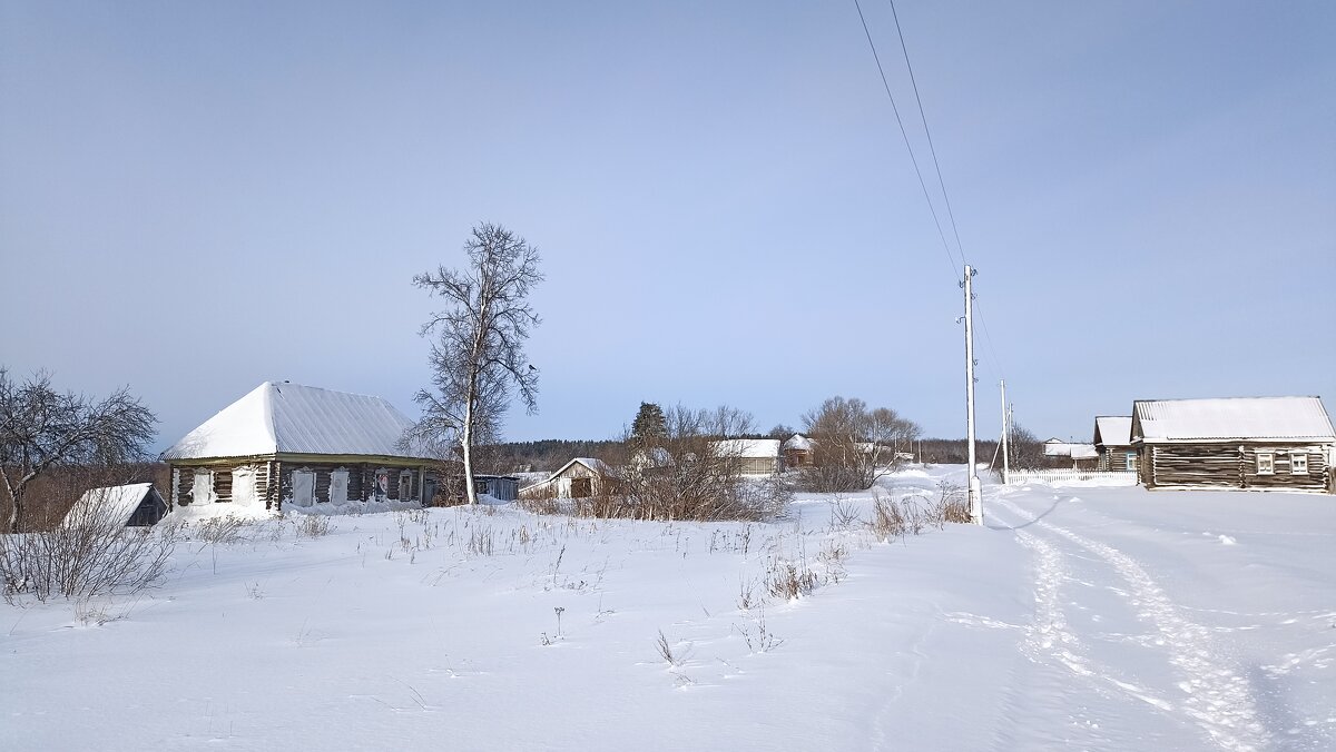 В области - Пасечник 