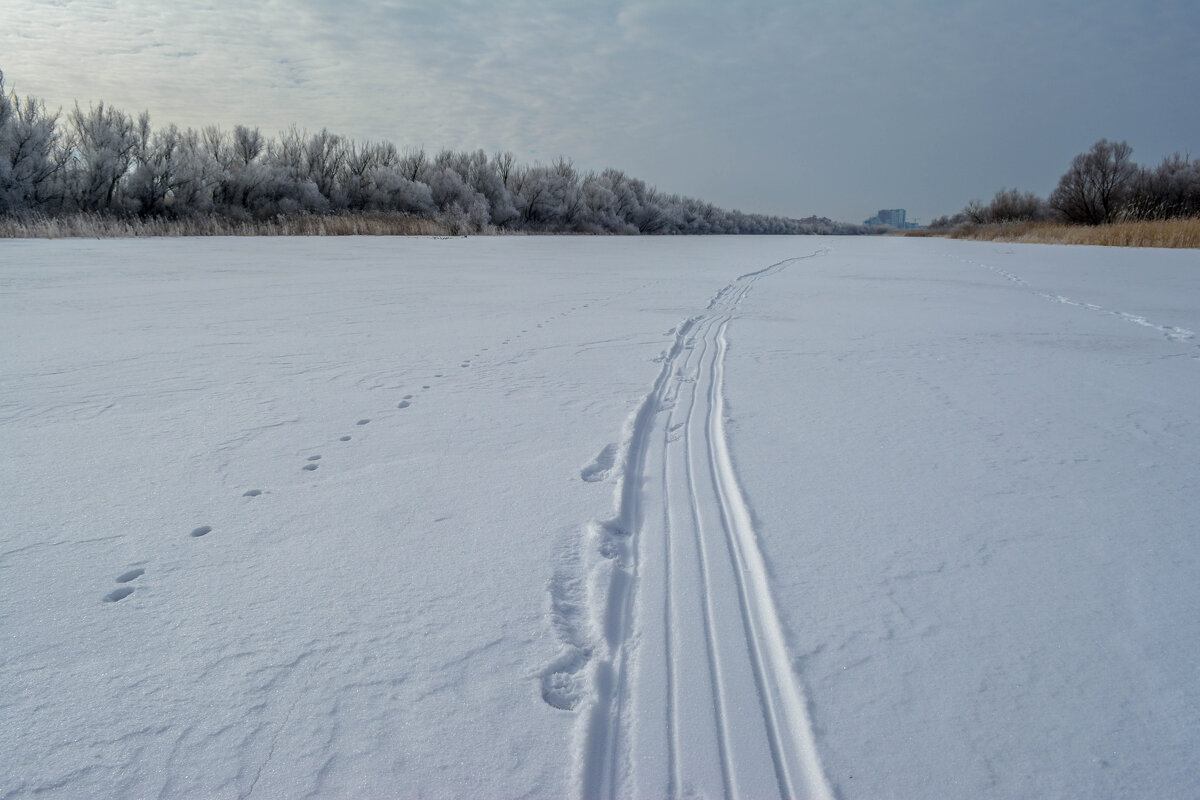 По снежной целине - Владимир Жуков