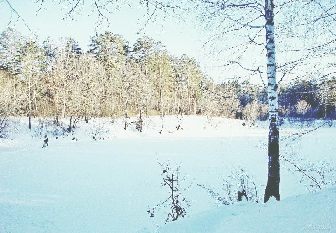 Лесное зимнее озерко - Raduzka (Надежда Веркина)