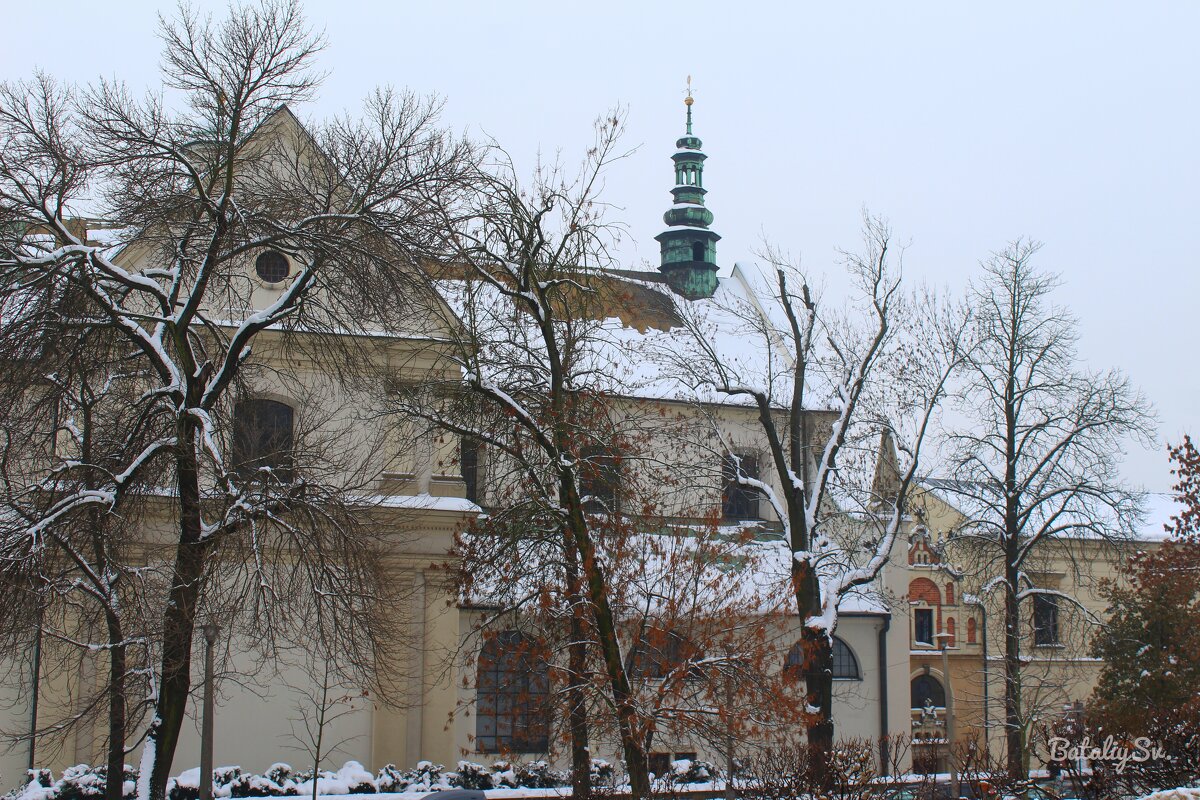 костёл отцов Бернардинцев - Светлана Баталий