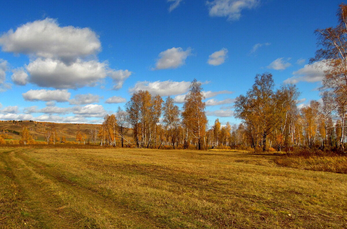 На рыжих осенних просторах. - nadyasilyuk Вознюк