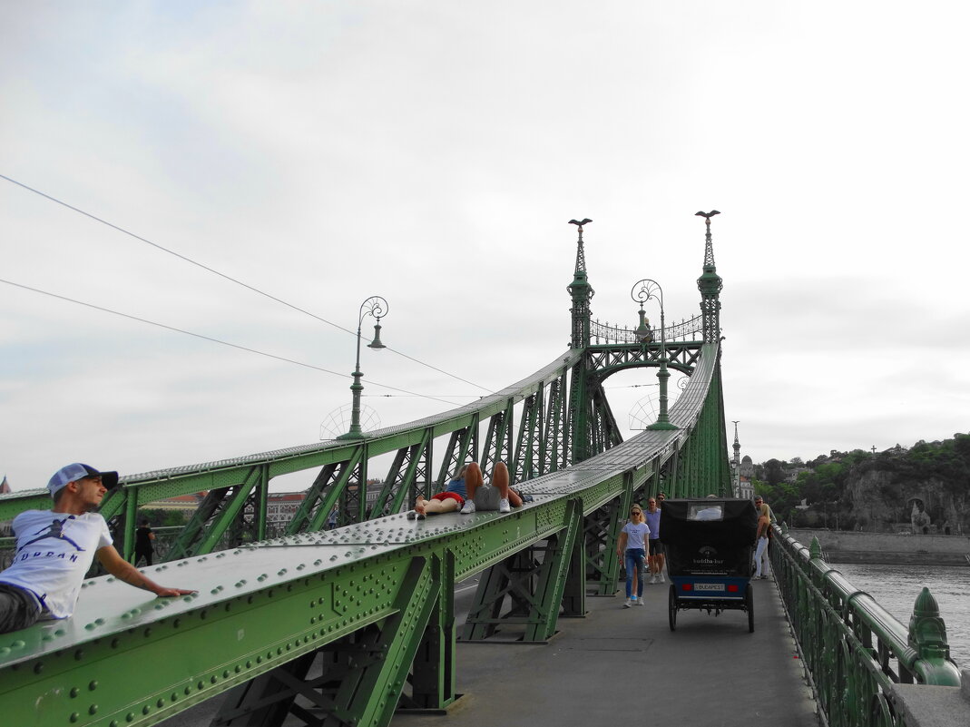 На мосту. Будапешт - svk *