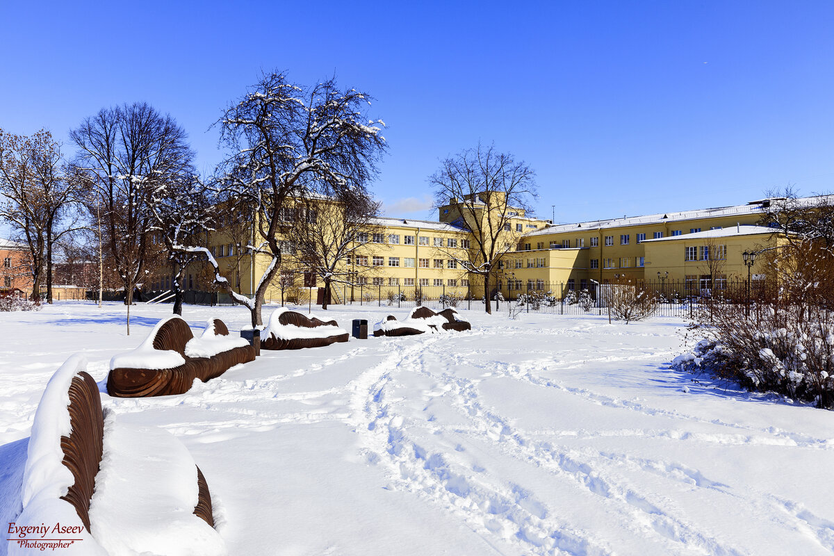 Снежный март в Ушаковском сквере - Евгений 