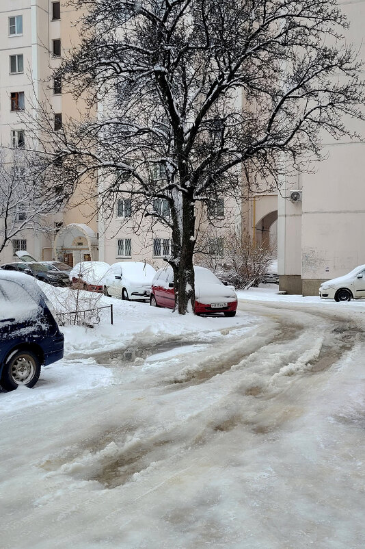 Снежно-гололёдное время - Татьяна Машошина