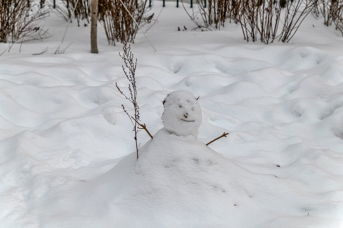 Тает снеговик - Валерий Иванович
