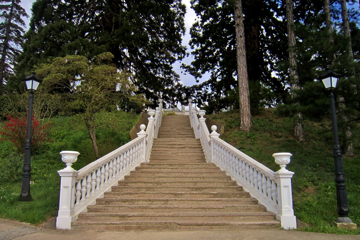 Белоснежная лестница, ведущая к Массандровскому  дворцу - Елена (ЛенаРа)