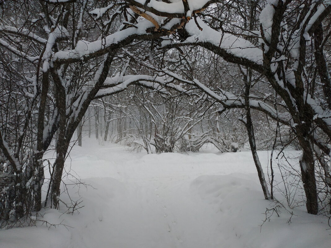 О вчерашнем снегопаде - Андрей Лукьянов
