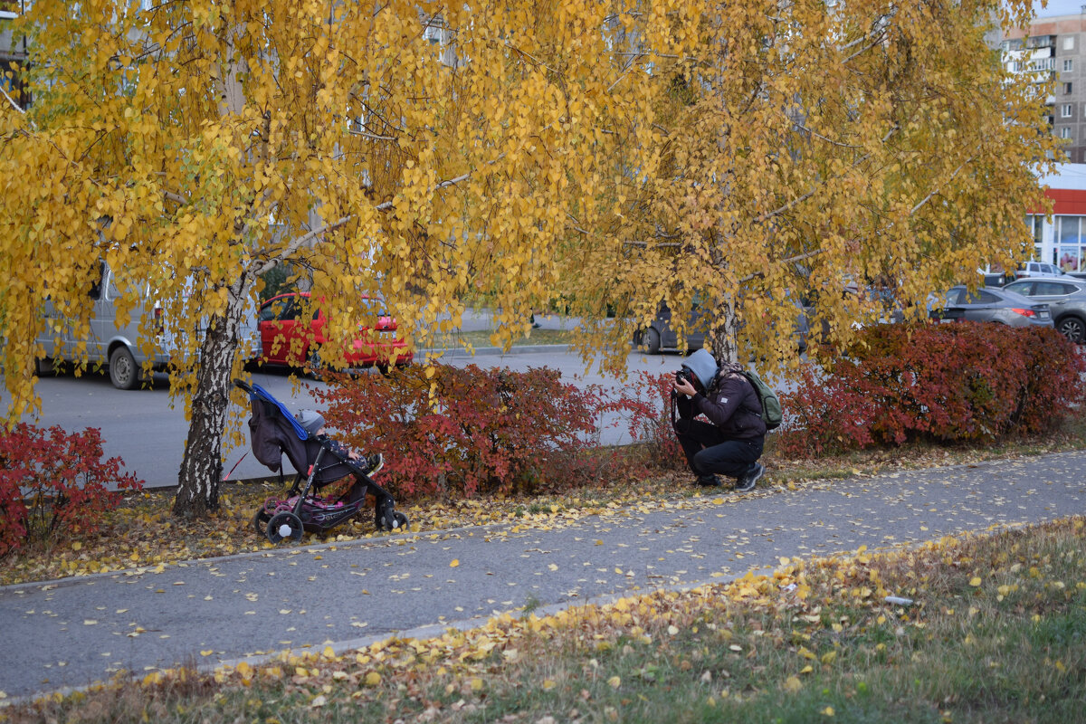 Осень - Петр 