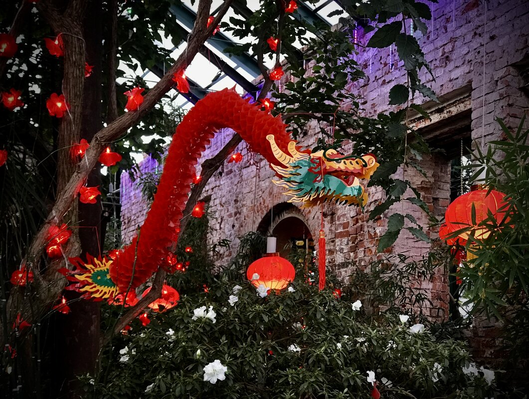 Китайский дракончик в оранжерее - Любовь 
