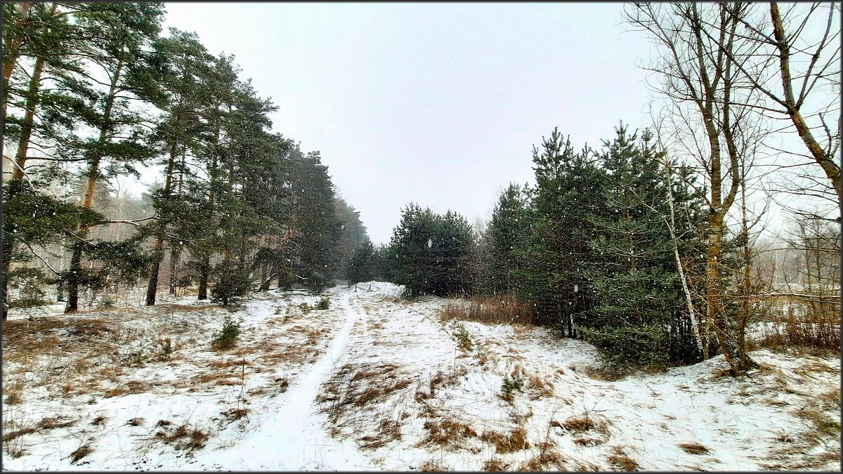 Февральские тропинки - Сеня Белгородский