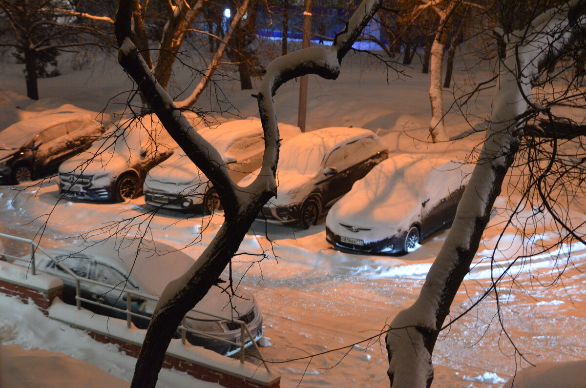 Под снежным одеялом - Oleg4618 Шутченко