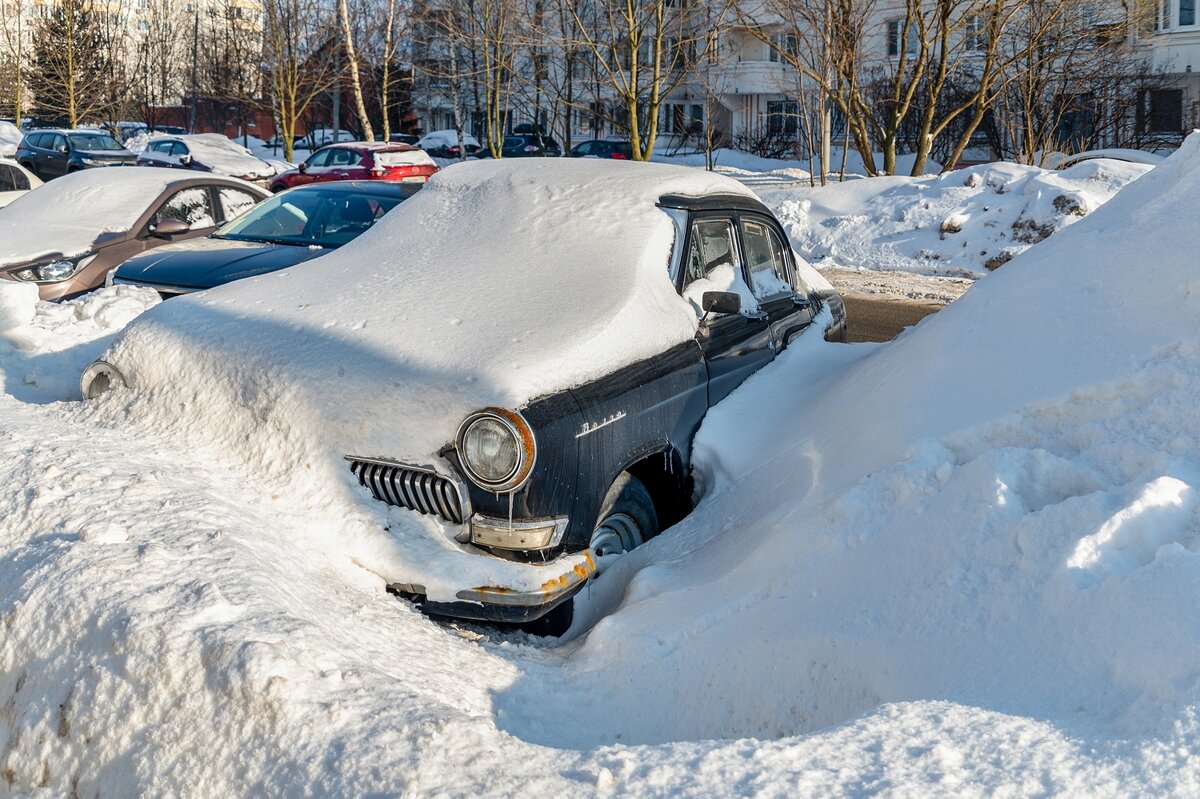 Раритет под снегом - Валерий Иванович