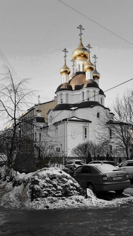Церковь Ксении Петербургской на Петроградской стороне - Наталья Герасимова