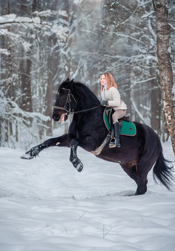 Юная всадница в зимнем лесу - Ekaterina 