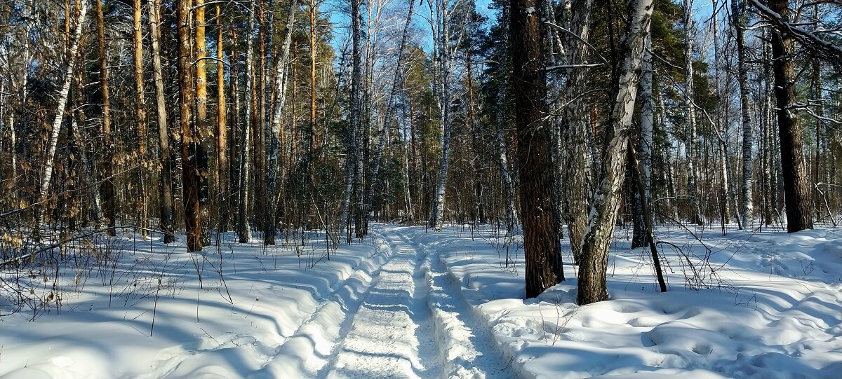 Люблю природу в феврале - Валентина 