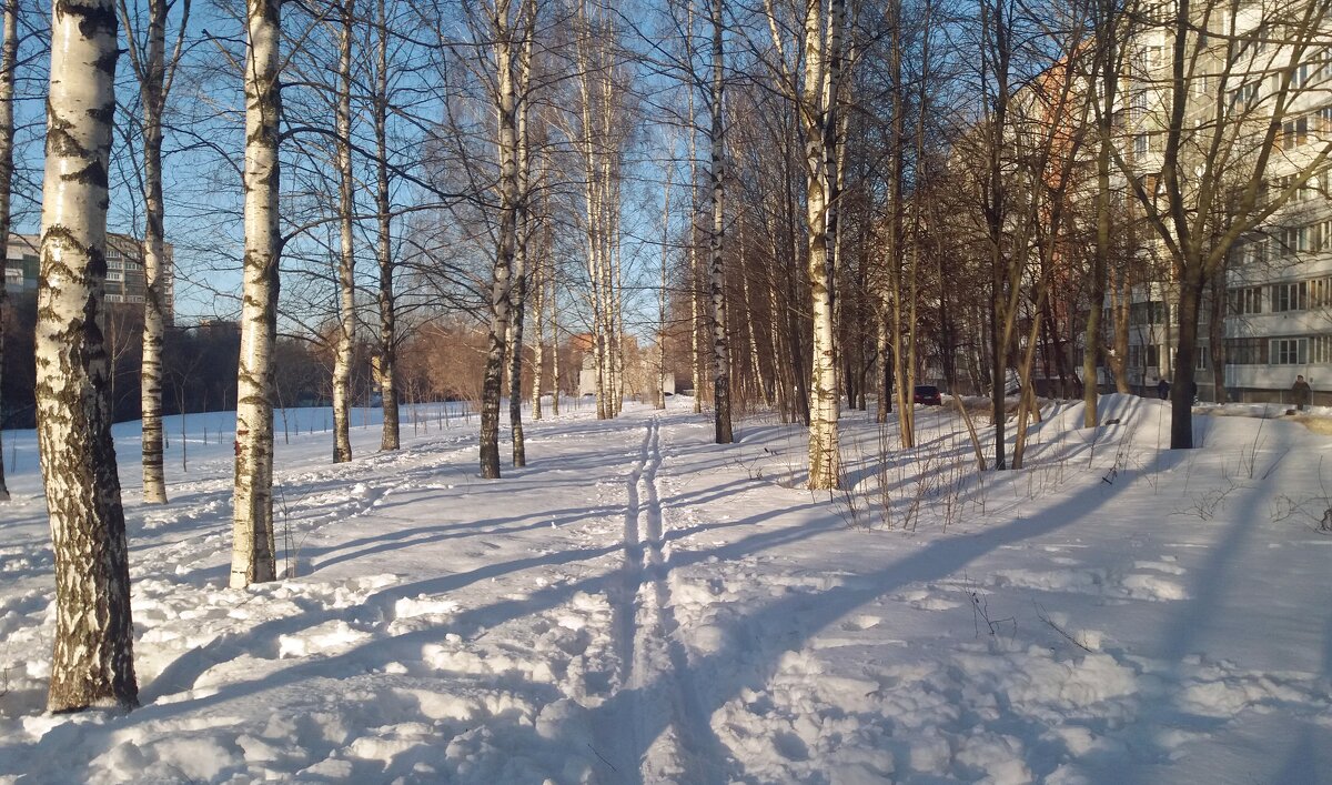 Зимний день - Galina Solovova