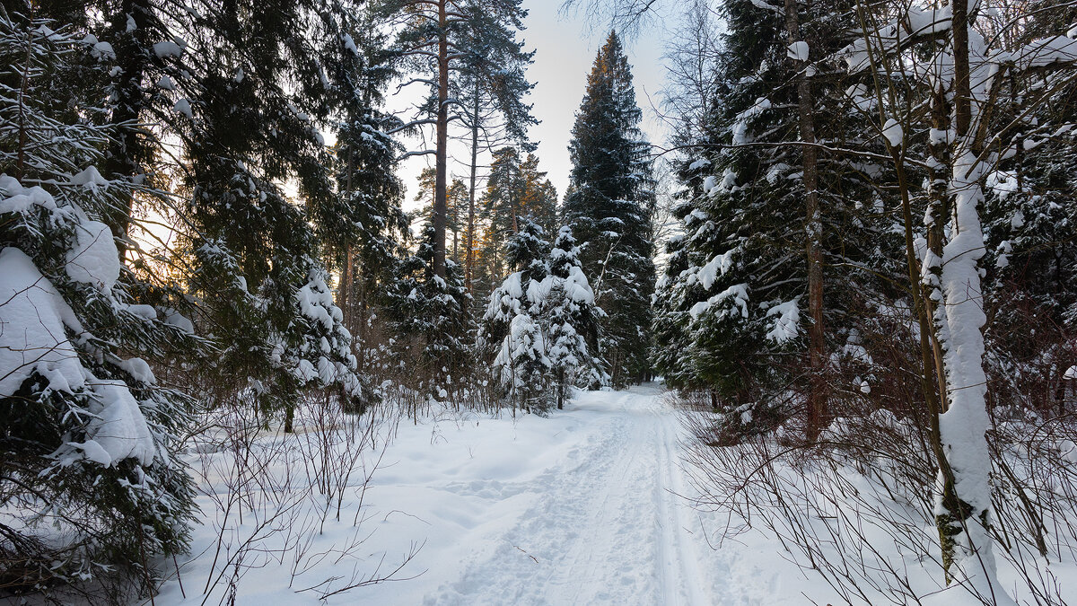 Зимний пейзаж - Владимир Лазарев
