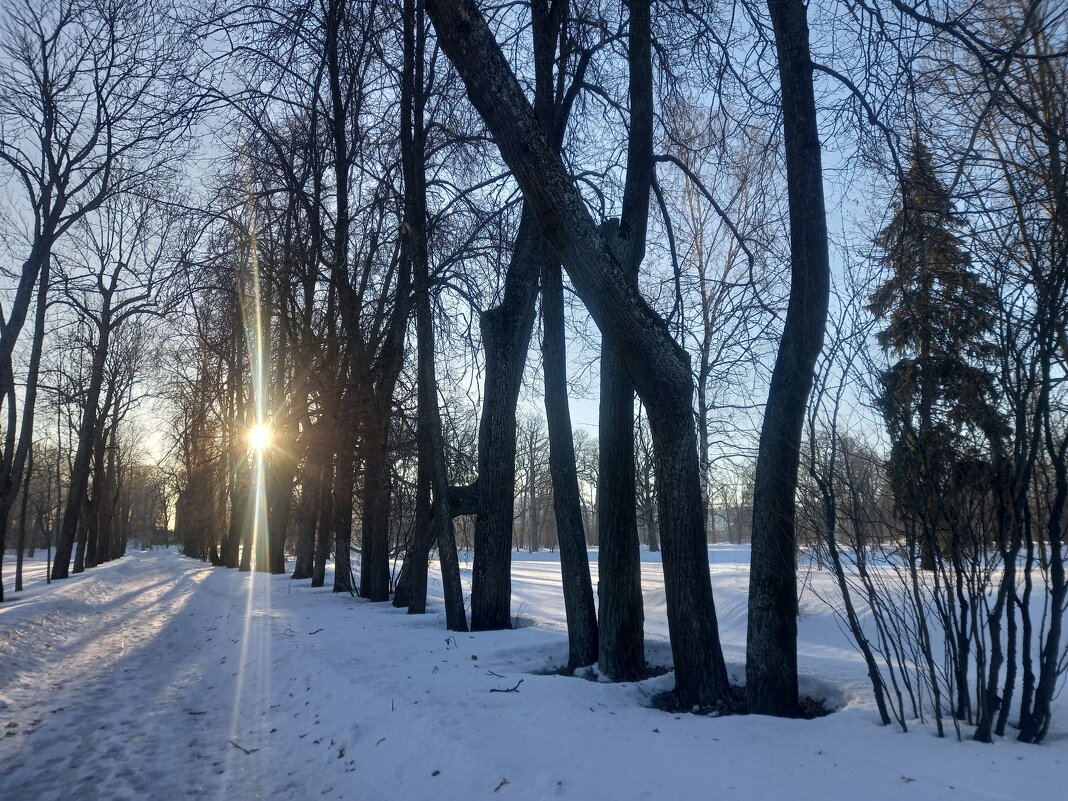 Солнце - Сапсан 