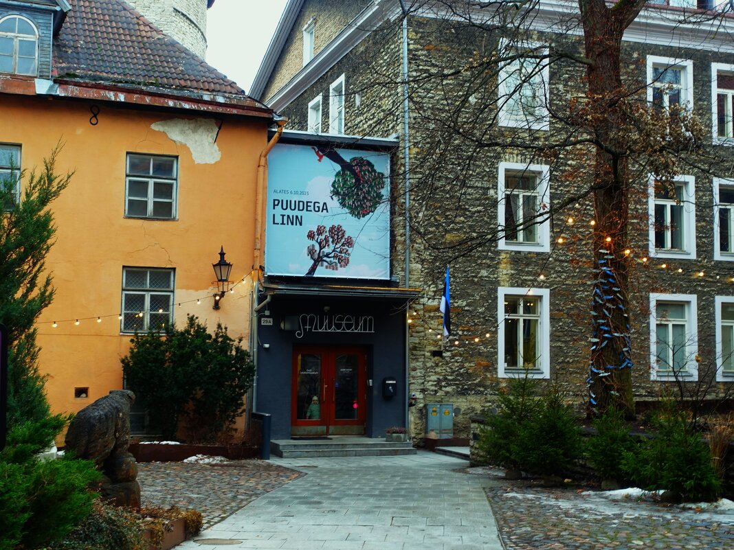 Эстонский музей природы на ул.Лай в Старом городе - Aida10 
