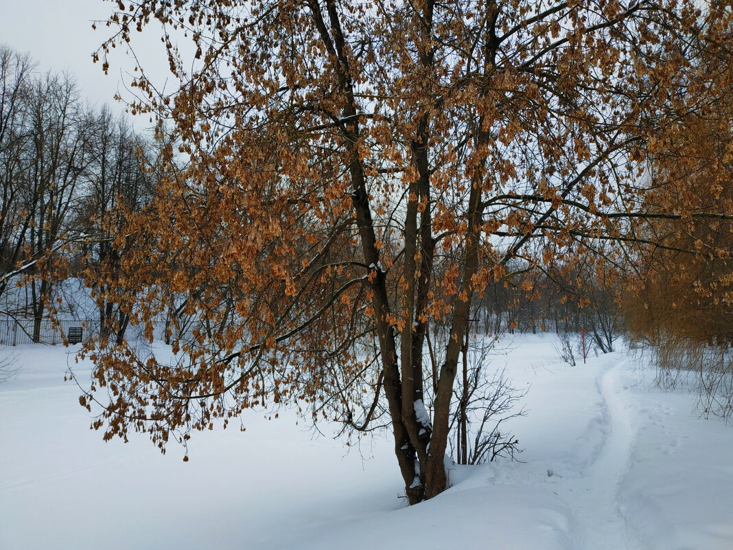 * * * - Андрей Лукьянов