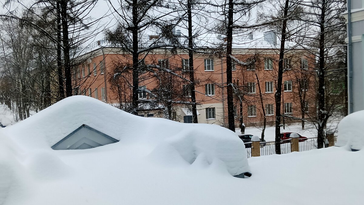 после метели - Владимир 