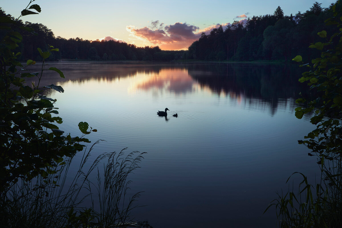 Закат на озере - Валерий Вождаев