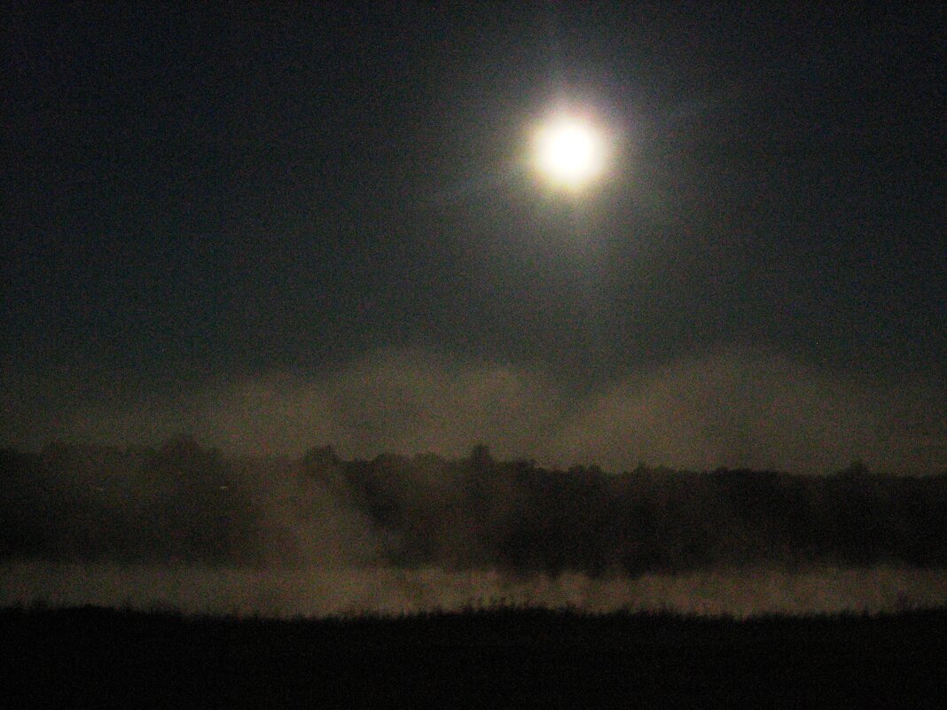 Туман над рекой Полонка ночью - Артем 