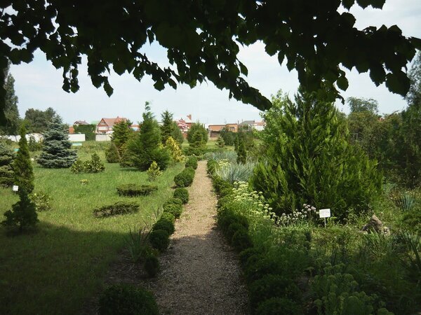 Ботанический сад - Вера Щукина