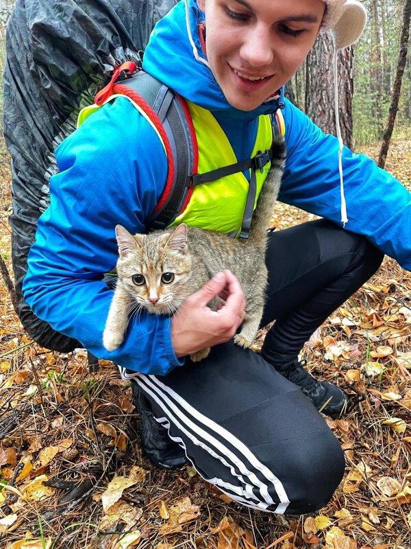 Котенок,в походе - Георгиевич 