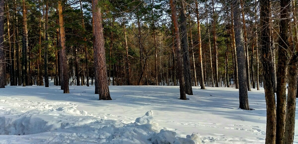 в парке - Валентина 