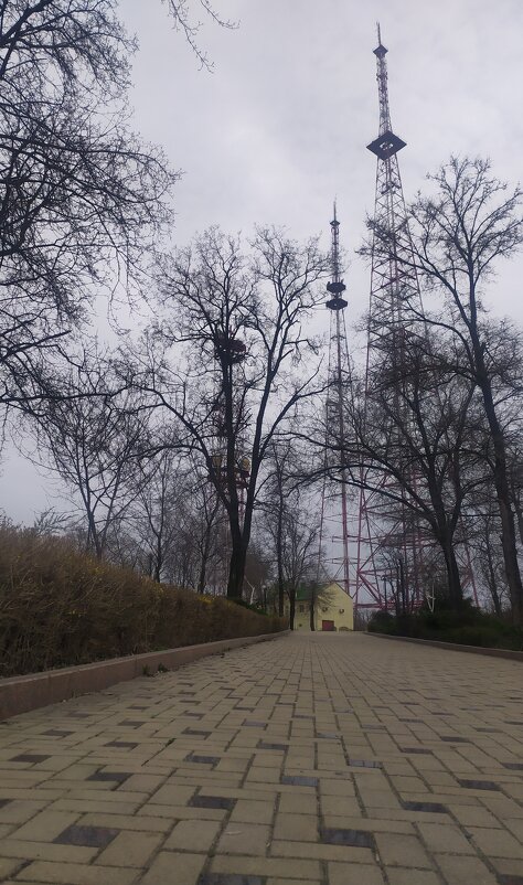 Утро в парке - Evgenia Glazkova