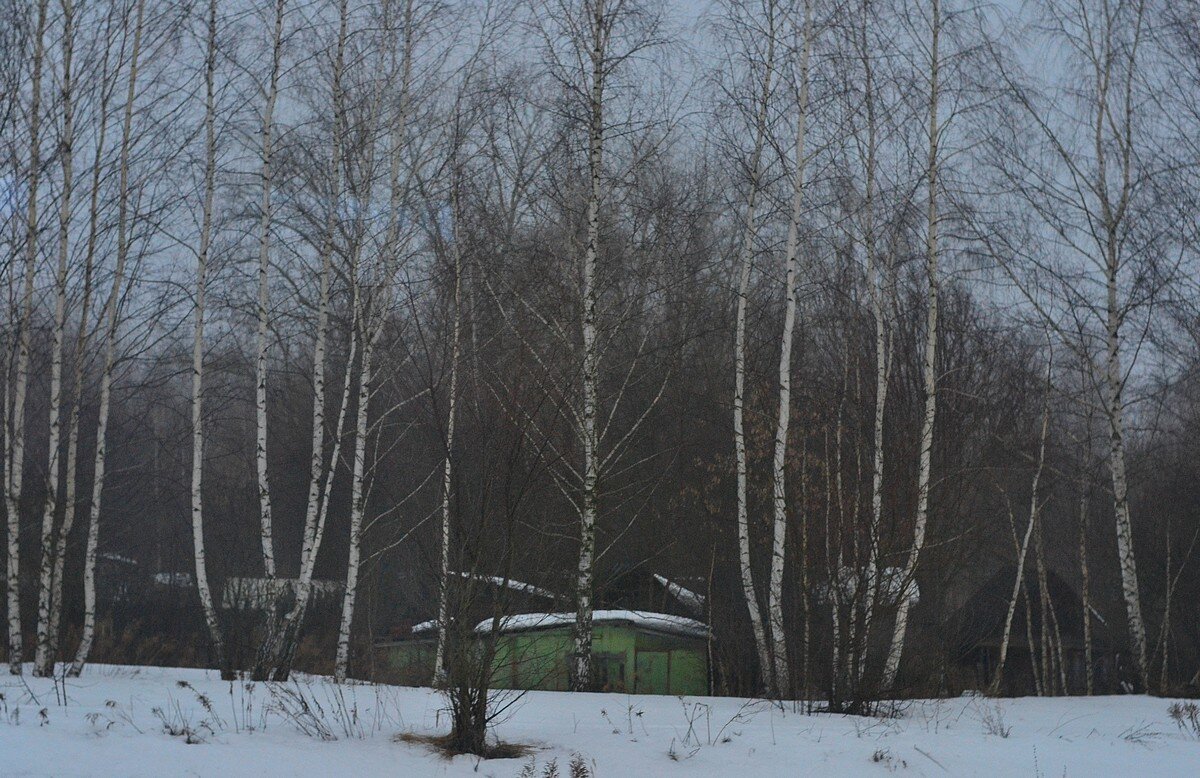 Домик в утреннем снежном лесу - Александр Рыжов