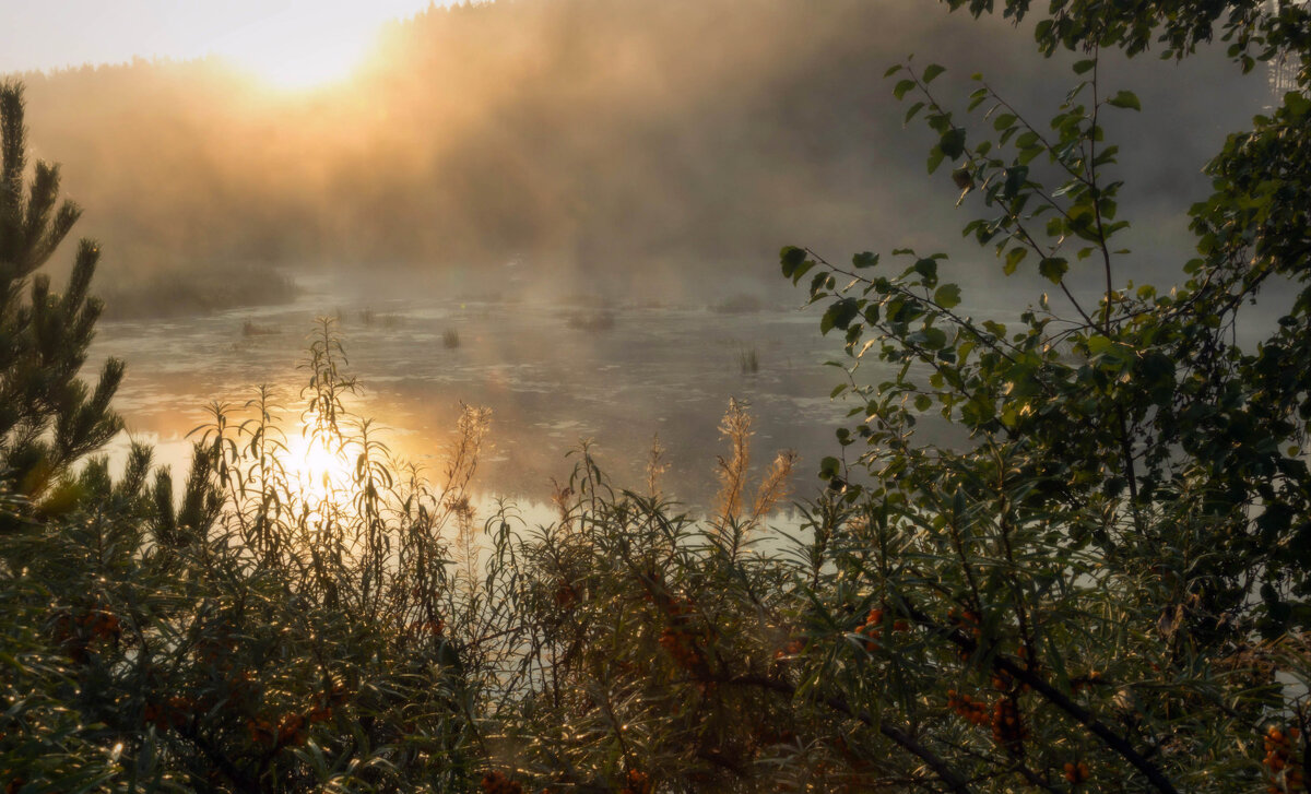 Утро, озеро, туман... - Наталья 