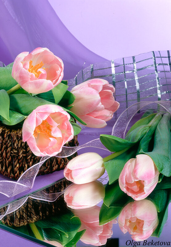 Тюльпаны на лиловом фоне - Ольга Бекетова