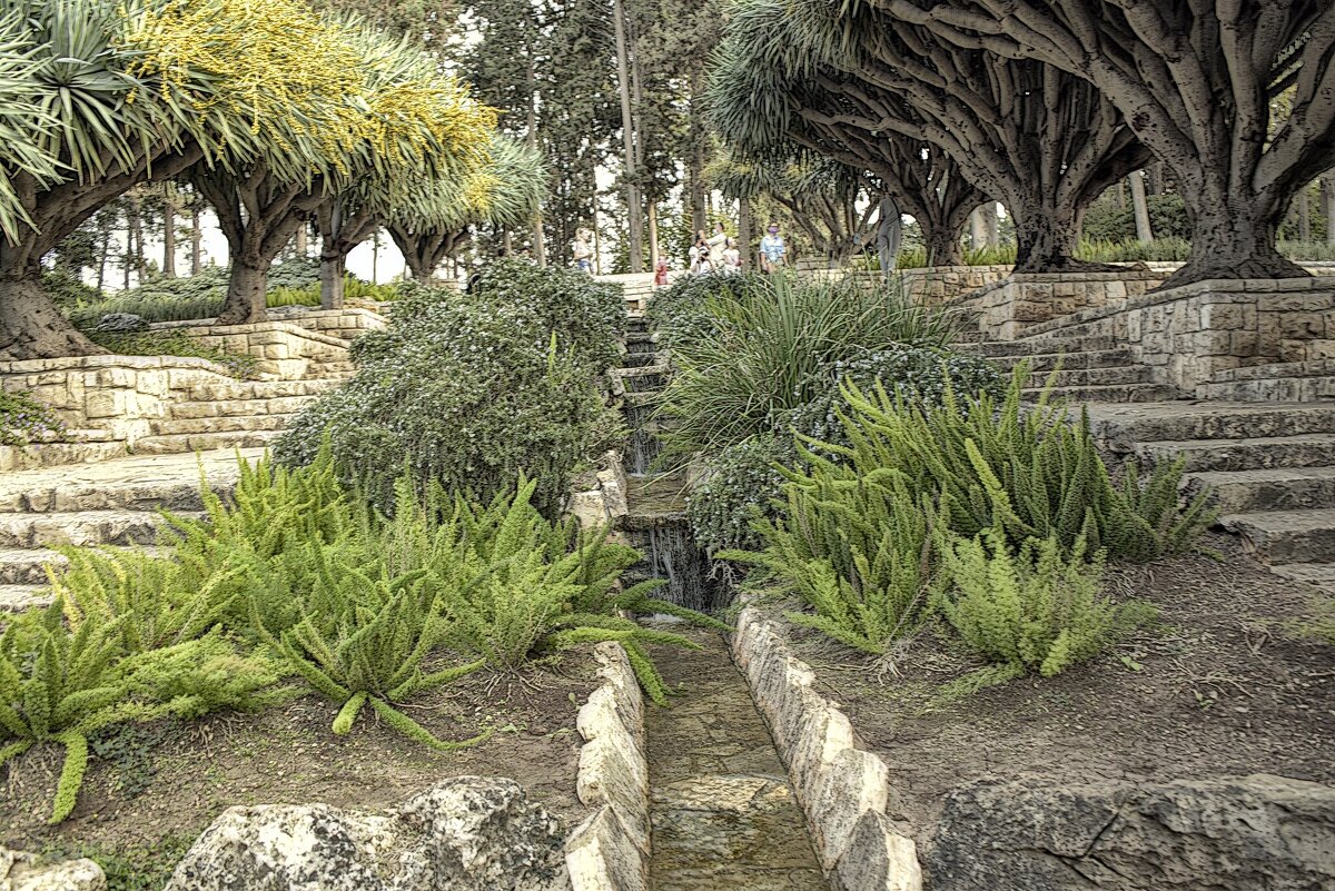 Парк Ротшильда в Израиле - ujgcvbif 