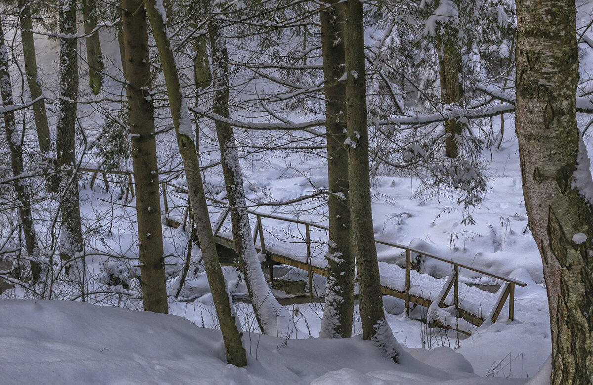 Мостик через ручей в декабре - Сергей Цветков