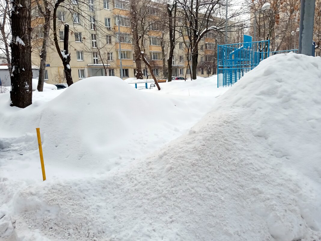 Зима в Москве. - Владимир Драгунский